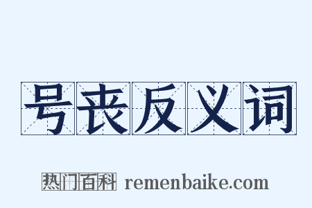 号丧反义词是什么意思的图片